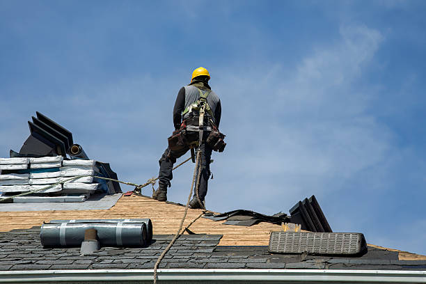 Professional Roof Repair technician working in La Harpe, IL